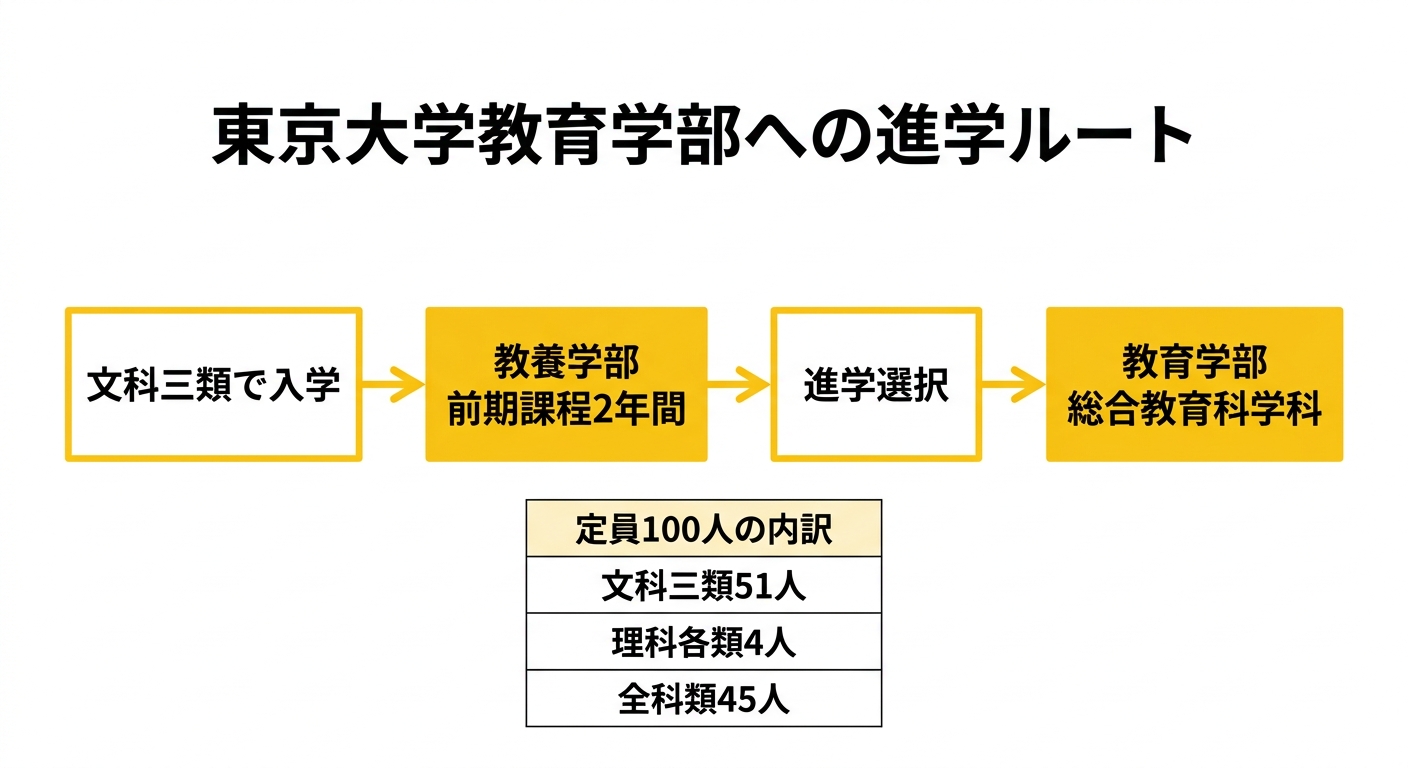 東京大学教育学部への進学ルートの図。文科三類で入学し教養学部前期課程2年間を経て進学選択を経て教育学部総合教育科学科へ進む。定員100人の内訳は文科三類51人、理科各類4人、全科類45人