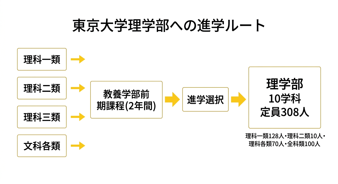 東京大学理学部への進学ルートの図。理科一類・理科二類・理科三類・文科各類から教養学部前期課程2年間を経て進学選択を経て理学部10学科へ進む。定員308人の内訳は理科一類128人、理科二類10人、理科各類70人、全科類100人