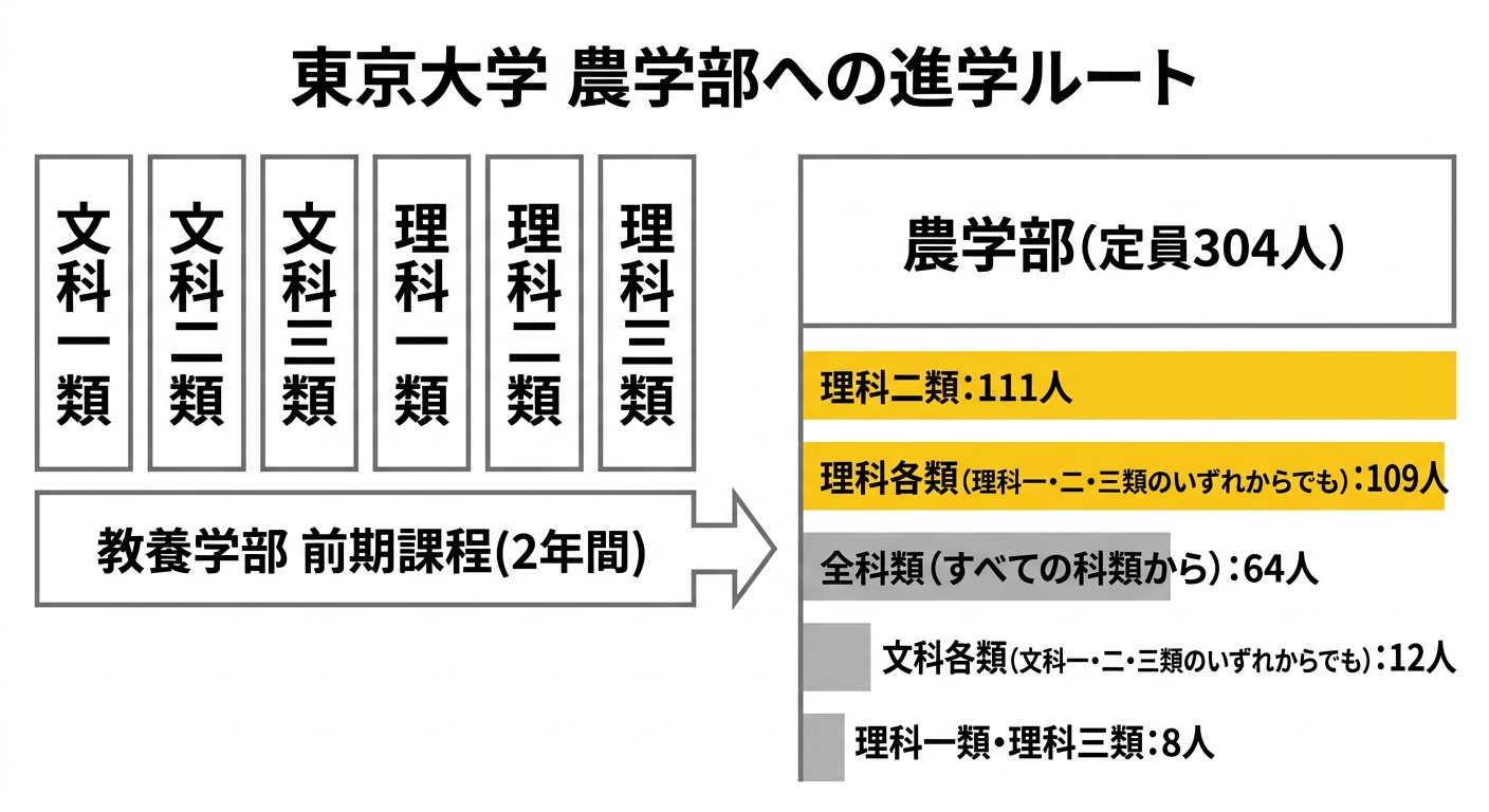 東京大学農学部への進学ルートの図。文科一類・文科二類・文科三類・理科一類・理科二類・理科三類から教養学部前期課程2年間を経て進学選択を経て農学部(定員304人)へ進む。内訳は理科二類111人、理科各類109人、全科類64人、文科各類12人、理科一類・理科三類8人