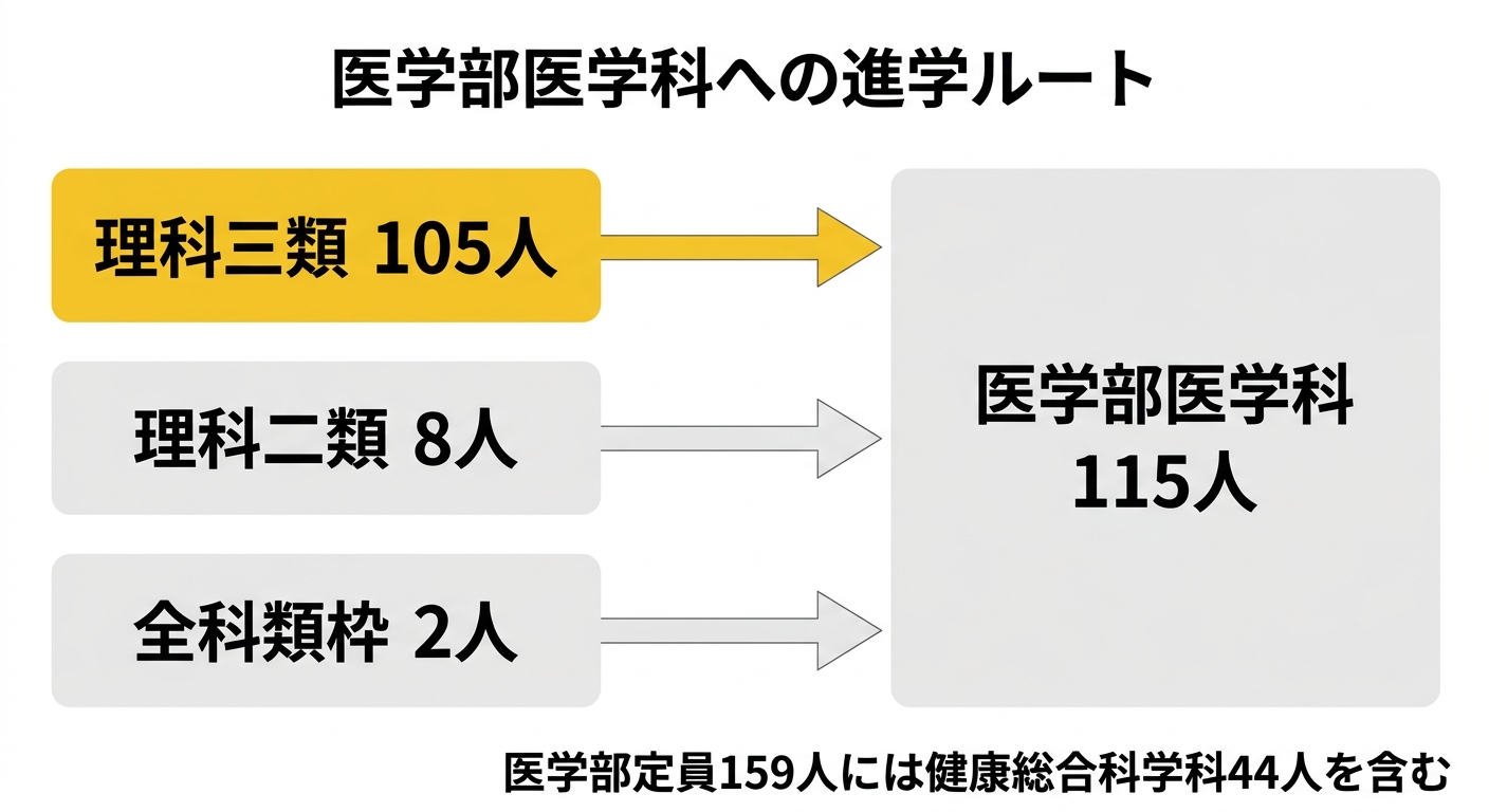 医学部医学科への進学ルート(理科三類105人・理科二類8人・全科類枠2人が医学科115人に合流する図)